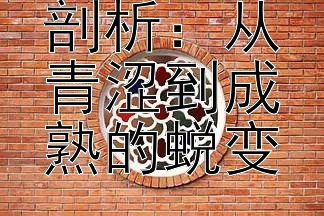 杨幂演技剖析：从青涩到成熟的蜕变