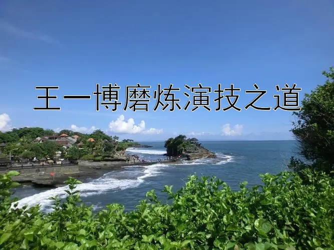 王一博磨炼演技之道