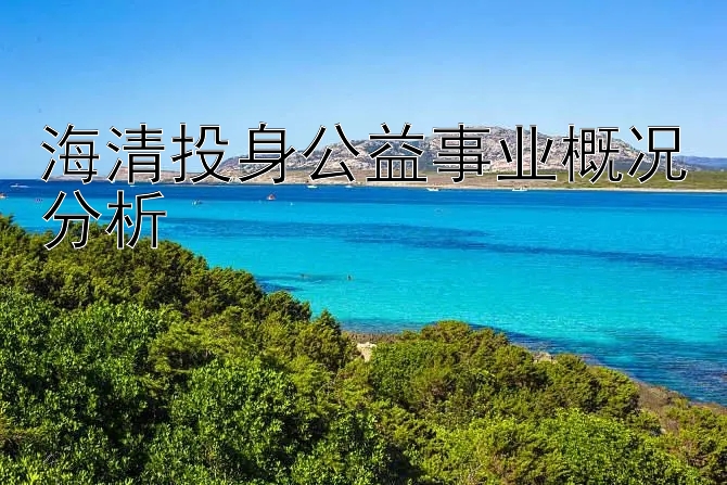 海清投身公益事业概况分析