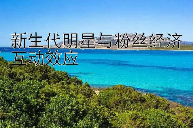 新生代明星与粉丝经济互动效应